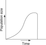 Which of the following graphs illustrates the growth curve of a population of snowshoe hares over several seasons in northern Canada? A)    B)    C)    D)    E)   
