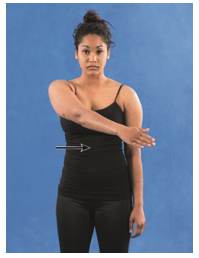 External shoulder rotation is demonstrated in which of the following figures? A) B) C) D)