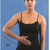 External shoulder rotation is demonstrated in which of the following figures? A) B) C) D)