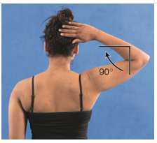 External shoulder rotation is demonstrated in which of the following figures? A) B) C) D)