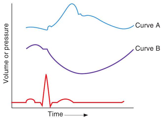 <strong>   -Curve A in the figure represents</strong> A) aortic pressure B) ventricular pressure C) atrial pressure D) ventricular volume <div style=padding-top: 35px> 