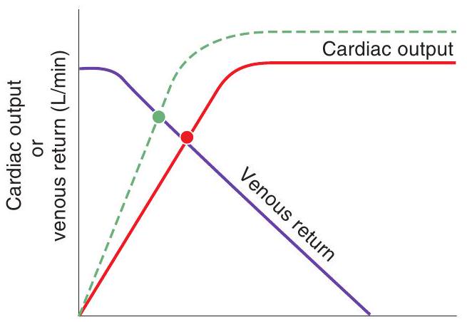  <strong>  Right atrial pressure  (\mathrm{mm} \mathrm{Hg})   -The dashed line in the figure illustrates the effect of</strong> A) increased total peripheral resistance (TPR) B) increased blood volume C) increased contractility D) a negative inotropic agent E) increased mean systemic pressure <div style=padding-top: 35px>  