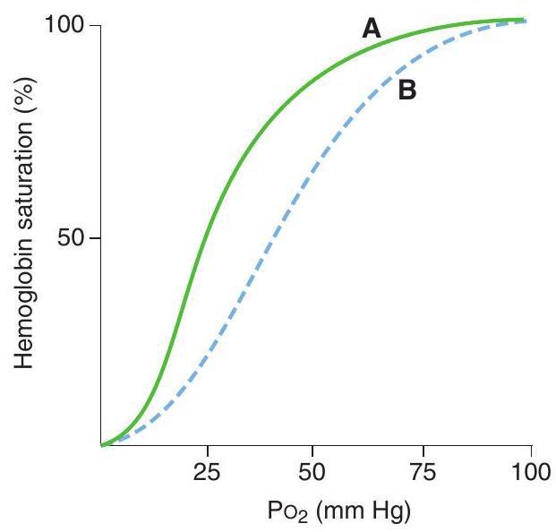 <strong> -In the hemoglobin- \mathrm{O}_{2} dissociation curves shown above, the shift from curve A to curve B could be caused by</strong> A) increased \mathrm{pH} B) decreased 2,3-diphosphoglycerate (DPG) concentration C) strenuous exercise D) fetal hemoglobin (HbF) E) carbon monoxide (CO) poisoning