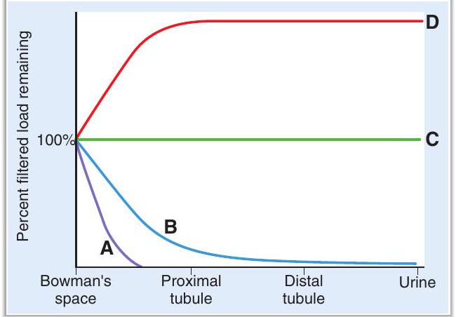 The curves show the percentage of the filtered load remaining in the tubular fluid at various sites along the nephron.    -Which curve describes the alanine profile along the nephron? A)  Curve A B)  Curve B C)  Curve C D)  Curve D