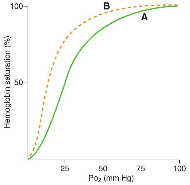    -On the accompanying graph, the shift from curve A to curve B could be caused by A)  fetal hemoglobin (HbF)  B)  carbon monoxide (CO)  poisoning C)  decreased  \mathrm{pH}  D)  increased temperature E)  increased 2,3-diphosphoglycerate (DPG)  