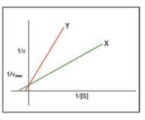 <strong>Assessment of enzyme activity under standard condition and plotted as a linear Lineweaver-Burk plot gives the green line (x). The red line (y) was most likely obtained by addition of which of the following to this enzyme assay? </strong> A) allosteric activator B) competitive inhibitor C) double the amount of enzyme D) half the amount of enzyme E) noncompetitive inhibitor