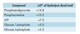 <strong>Given the table of values for the hydrolysis of some phosphorylated compounds, which of the following best describes the DG0′ for the following reaction? phosphoenolpyruvate + ADP → pyruvate + ATP </strong> A) −22.1 kcal/mol B) −14.8 kcal/mol C) −7.8 kcal/mol D) −7.0 kcal/mol E) −5.0 kcal/mol
