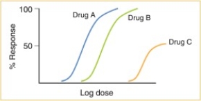 <strong>The data presented in the figure below show that: </strong> A) Drugs A and B have equal efficacy B) Drug B and C have equal efficacy C) Drug B is a partial agonist D) Drugs A and C have the same affinity and efficacy E) Drugs A and B have equal potency