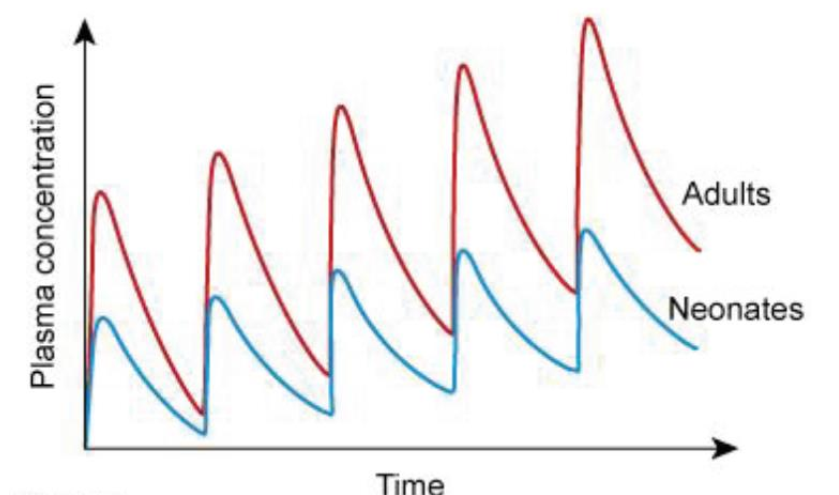Researchers develop a novel glycopeptide antibiotic similar to vancomycin(Hydrophilic drug)  that is bactericidal against many Gram-positive bacteria. From animal studies, they determine that the effective drug dosage is 5 mg/kg/day administered intravenously in divided doses. In a clinical trial, the antibiotic is administered to adult and neonatal patients with gram-positive infections. The drug is found to be effective in adults but not in neonates. During further analysis, plasma concentrations of the drug are measured in both groups, with the results shown in the image below:   Compared to adults, which of the following neonatal factors is the most likely cause of the difference in drug effectiveness? A)  Decreased CTY450 activity B)  Decreased renal blood flow C)  Elevated Plasma protein levels D)  High body water content