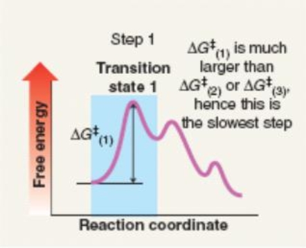 Which mechanism(s)  is represented by the following?   A)  S<sub>N</sub>1 B)  S<sub>N</sub>2 C)  E1 D)  E2 E)  S<sub>N</sub>1 solvolysis F)  a and c G)  b and d H)  a, c and e