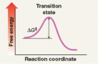 Which mechanism(s)  is represented by the following?   A)  S<sub>N</sub>1 B)  S<sub>N</sub>2 C)  E1 D)  E2 E)  S<sub>N</sub>1 solvolysis F)  a and c G)  b and d H)  a, c and e