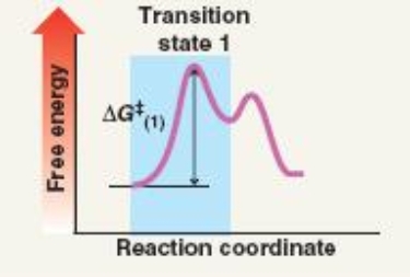 Which mechanism(s)  is represented by the following?   A)  S<sub>N</sub>1 B)  S<sub>N</sub>2 C)  E1 D)  E2 E)  S<sub>N</sub>1 solvolysis F)  a and c G)  b and d H)  a, c and e