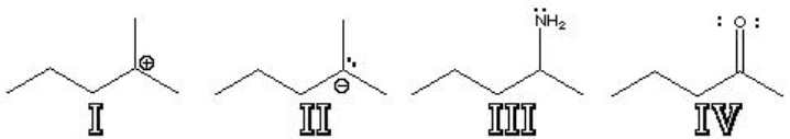 Which of the following structures are Lewis Bases? A)  I B)  II C)  III D)  IV E)  I and IV F)  II and IV G)  II, III and IV  
