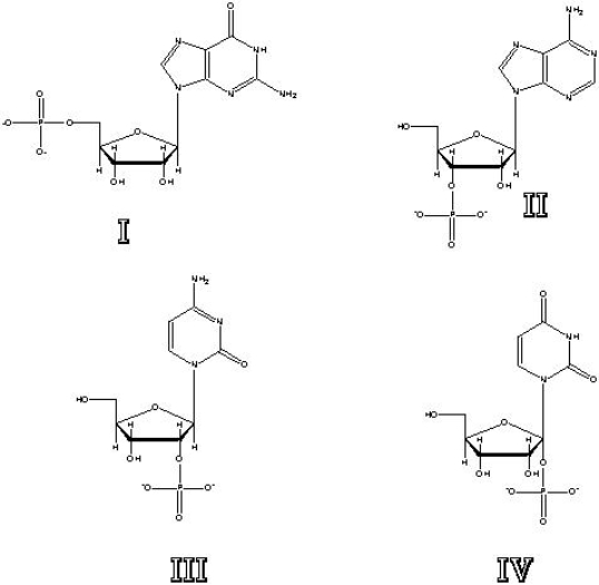 Which of the following shows 3? phosphorylation?   A)  I B)  II C)  III D)  IV