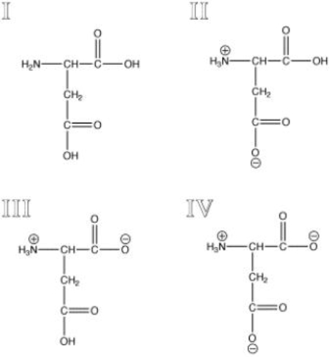 Which of the following represents aspartic acid at physiological pH?   A)  I B)  II C)  III D)  IV