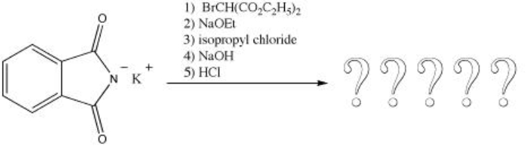 What is the product of the following reaction?   A)  valine B)  isoleucine C)  leucine D)  lysine