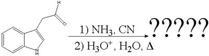 What is the product of the following reaction?   A)  Phenylalanine B)  Histidine C)  Proline D)  Tyrosine