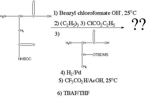 What is the product of the following reaction?   A)  Histidine-cysteine B)  Glutamine-serine C)  Asparagine-threonine D)  Glutamine-tyrosine