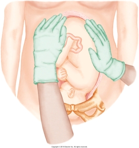 The nurse is performing Leopold's maneuvers on her patient. Which figure depicts the Leopold's maneuver that determines whether the fetal presenting part is engaged in the maternal pelvis? Refer to Figures A to D. A)    B)    C)    D)   