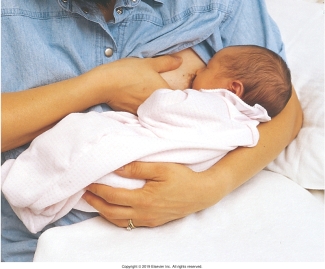 The nurse is teaching a postpartum patient different holds for breastfeeding. Which of the following figures depicts the football hold frequently used for patients who have had a cesarean birth? A)    B)    C)    D)   