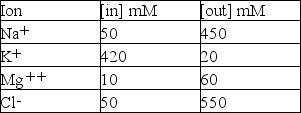 You and your fellow deep-sea scientists have discovered a new form of marine invertebrate, and are anxious to determine the similarities and differences to animals already characterized.Chemical analysis reveals the following concentrations of permeable cations:   Nernst equation: E<sub>ion</sub> = 61/z × log [ion]<sub>out</sub>/[ion]<sub>in</sub> Your studies of the neuromuscular junction reveal that the excitatory neurotransmitter opens a channel permeable to all three cations.Calculate the equilibrium potential for each cation.In which direction will each cation move when the channel is open? Does movement of ions promote muscle depolarization? Explain your answer.<div style=padding-top: 35px> 