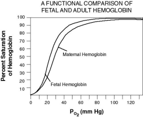 Refer to the graph below.     A.At a PO₂ of 80 mm Hg, which type of hemoglobin binds more oxygen? B.At a PO₂ of 40 mm Hg, which type of hemoglobin has released more oxygen to the cell? C.Explain the significance of the differences in fetal and maternal hemoglobin affinity. D.If a worm lived in low oxygen mud flats where the PO₂ is 60 mm Hg, which type of hemoglobin would be better for it to have? Explain.