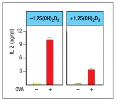  The vitamin D3 metabolite 1,25(OH) <sub>2</sub>D<sub>3</sub> binds to the vitamin D receptor (VDR) . This complex then functions as a transcriptional regulator. The activation of VDR following treatment of cells with 1,25(OH) <sub>2</sub>D<sub>3</sub> has been found to modulate the activity of antigen-presenting dendritic cells. In one study, dendritic cells were isolated from wild-type mice and activated in vitro by stimulation with LPS plus IFN- \gamma  in the presence or absence of 1,25(OH) <sub>2</sub>D<sub>3</sub> for 24 hours. These activated dendritic cells were then pulsed with a peptide from the chicken ovalbumin protein (OVA)  that binds to MHC class II and is recognized by OT-II CD4 T cells. The peptide-pulsed dendritic cells and T cells were incubated together for 3 days, and then IL-2 levels in the supernatants were measured, as shown in Figure .     Based on these data, dendritic cells activated in the presence of 1,25(OH) <sub>2</sub>D<sub>3</sub> are likely to show: A)  Reduced MHC class II and reduced B7 expression compared to controls B)  Enhanced expression of IL-12 compared to controls C)  Reduced expression of IL-6 and TNF- \alpha  compared to controls D)  Increased expression of MHC class I and class II expression compared to controls E)  Reduced expression of proteins involved in antigen presentation compared to controls 