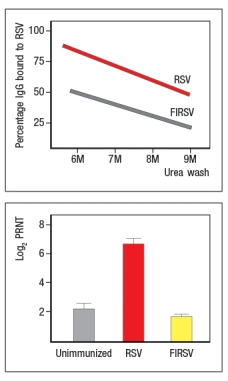 Respiratory syncytial virus (RSV) is a common pathogen that nearly all children are infected with by age 2. It is currently the leading cause of hospitalization of infants. In 1966 a vaccine against RSV was developed and tested in children. The vaccine was made by inactivating RSV virions with formalin, and then injecting the inactivated virus into recipients; the vaccine was known as FIRSV . The top graph shows the results of an assay used to assess the relative affinities of antibodies in sera from immunized mice. Sera were isolated from mice immunized with live RSV versus FIRSV, and the isolated sera were tested for binding to immobilized RSV particles. The graph depicts the percentage of IgG antibody remaining bound to virus after washing in increasing concentrations of urea. The higher the affinity, the greater the amount of antibody that remains bound to antigen as the urea concentration increases. The bottom graph shows the titers of neutralizing antibody in the serum of mice immunized with FIRSV or with live RSV, compared to an unimmunized control. In this case, sera at different dilutions are mixed with live RSV, and then the mixture is tested for the amount of infectious virus remaining in solution. The log<sub>2</sub> PRNT (50% plaque reduction) indicates the amount the serum can be diluted and still retain the ability to neutralize 50% of the virus particles. Based on these data, what is the likely explanation for the failure of the FIRSV vaccine to protect recipients?   