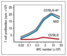 A mouse model of spontaneous rheumatoid arthritis (RA) was fortuitously discovered when a T-cell receptor transgenic mouse line made in C57BL/6 mice (KRN) was crossed to the NOD strain. These mice, known as KxN, developed RA beginning at about 4-5 weeks of age. The disease symptoms included joint swelling, infiltration of inflammatory cells, with eventual deterioration of bone and cartilage. As a first experiment to determine the mechanism leading to this autoimmune response, KRN<sup>+</sup> CD4 T cells were isolated from C57BL/6 mice and were stimulated in vitro with purified APCs from wild-type C57BL/6 mice, NOD mice, or C57BL/6 mice expressing the NOD MHC class II allele, I-A<sup>g7</sup> (C57BL/6-A<sup>g7</sup>). After three days, the T cultures were pulsed with <sup>3</sup>H-thymidine, and cpm incorporated were measured to assess T cell proliferation, as shown in Figure Q3)31)A. Furthermore, the CD4 T cell compartment in KxN mice was examined, and compared to KRN-transgenic negative littermate control mice. Whereas the littermate controls generally had 16-22% CD4 T cells in their spleens, KxN had 5-7% CD4 T cells, all of which expressed the KRN T-cell receptor.    a) What do these data indicate about the mechanism(s) of self-tolerance acting on KRN T-cell receptor-positive CD4 T cells in the KxN mice? receptor recognized a peptide of a ubiquitous self-antigen (glucose-6-phosphate isomerase; GPI) bound to the NOD MHC class II allele, I-A<sup>g7</sup>. In addition, the sera of the KxN mice were found to have circulating IgG antibodies to GPI. To address whether T cells or B cells were required for autoimmune disease initiation and/or progression, a series of studies were performed. In one study, CD4 T cells were eliminated in young KxN mice by injection of a cell-depleting anti-CD4 antibody (or an isotype control antibody), and disease progression was monitored. In a second study, anti-CD4 antibody was injected into KxN mice after disease symptoms had already appeared. The mice were then monitored for the ensuing several weeks. In a third study, KxN mice were crossed to a line of mice with a mutation in the immunoglobulin locus that blocks all B cell development. KxN B-cell-deficient mice were then compared to KxN B-cell-sufficient mice for the development of RA symptoms. These data are shown in Figure.    b) What do these data indicate about the role of T cells, B cells, and antibodies in the development and disease progression of RA in this mouse model? In a next experiment, sera from KxN arthritic mice or non-arthritic  control mice were isolated, and injected into RAG-deficient recipients. Recipient mice were then monitored for clinical disease, and were scored on a scale of 1-5 every 3 days, as shown in Figure ; 1 = mildest disease to 5 = severe disease.    c) What do these data, together with the data shown above, indicate about the pathogenic mechanisms operating in this model of RA? In a final set of studies, potential effector mechanisms resulting in joint inflammation and destruction were examined. Serum from KxN arthritic mice was injected into Rag-deficient recipients that were lacking expression of the complement component C3 or the neutrophil chemokine receptor CXCR2. Disease progression was monitored after serum injection and compared to that seen following KxN serum injection into control Rag-deficient recipients as shown in .     d) What do these data indicate about the disease mechanism in this model of RA? e) Given all of these data, what is the likely role of the KRN<sup>+</sup> CD4 T cells in this disease model?