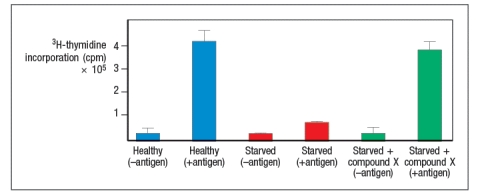  Studies performed in mice have revealed one important component affecting the altered immune response in individuals undergoing malnutrition or starvation. In these studies, mice were placed on a starvation diet for several days, and then immunized with a protein antigen in an adjuvant. One group of starved mice were given injections of 'compound X' for 48 hours, starting at the time of immunization. Seven days later, draining lymph nodes were isolated, and T cell responses were measured in vitro following stimulation with antigen. The results are shown in Figure .     'Compound X' is most likely: A)  IL-1 \beta  B)  Leptin C)  TNF- \alpha  D)  IL-10 E)  Double-stranded RNA 