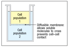 Common variable immunodeficiency (CVID) is a rather mild immunodeficiency disease that generally appears in young adults, with a peak onset between ages 20-30. Approximately 25% of the cases of CVID are familial, indicating a genetic basis for the disease. CVID patients suffer from recurrent infections of the respiratory tract, the ears, and the gastrointestinal tract. Common infections in these patients are caused by Haemophilus influenzae, Streptococcus pneumoniae and Staphylococcus aureus. Analysis of their peripheral blood cells shows normal numbers and subsets of T cells. B cell data from peripheral blood are shown in Figure :    a) In general, what is the immune mechanism most likely defective in patients with CVID? Explain your reasoning. One particular family is chosen for further study. In this family, two of four children have CVID, as shown in Figure    Given this pedigree, the mother’s peripheral blood leukocytes are examined for their patterns of X-chromosome inactivation. The results show that all of her T cells, B cells, and monocytes show random (50:50) inactivation of each of her X chromosomes. b) What do these data indicate about the gene defect causing CVID in this family? In a second series of studies, peripheral blood cells from one CVID patient and one healthy child in this family were collected, and T cell and B cell populations were separately isolated. These cell populations were mixed in different combinations, and then cultured for one week in the cytokines IL-4, IL-21, and IL-6. At the end of one week, the concentrations of secreted antibody in the culture supernatants were measured    c) What do these data indicate about the gene defect causing CVID in this family?   In a final set of experiments, the isolated T cells and B cells from the study above were used in a transwell assay. In this assay, shown in Figure , cell populations are separated by a semi-permeable membrane. This allows soluble mediators to equilibrate between the top and bottom chambers, but prevents direct cell–cell contact.    As a control, the cell populations were mixed together in the bottom chamber, a result that would replicate the findings from the study above. In addition, in this study, all wells contained IL-4, IL-6, and IL-21. After 7 days, culture supernatants were analyzed for antibody concentrations.The results of the transwell experiments are shown in Table  .     d) What do these data indicate about the function of the gene that is defective in the CVID patients from this family?