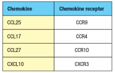  Purified CD4 T cells were stimulated in vitro with anti-CD3 plus anti-CD28 antibodies to activate them, and cultured for two days in the presence or absence of all-trans retinoic acid (RA). The T cells were then stained with antibodies to either a \alpha 4: \beta 7 integrin or for E/P-selectin ligand expression and analyzed by flow cytometry. The results are shown in the upper graph in Figure. In a second assay, the cells were tested for their ability to migrate in response to a panel of chemokines, and the percentages of migrated cells were measured, as shown in the lower graph. Note that these chemokines are ligands for the receptors as indicated in Figure. In the absence of infection or inflammation, where are naive T cells encountering RA, and based on these data, what effect will this have on their subsequent behavior?        