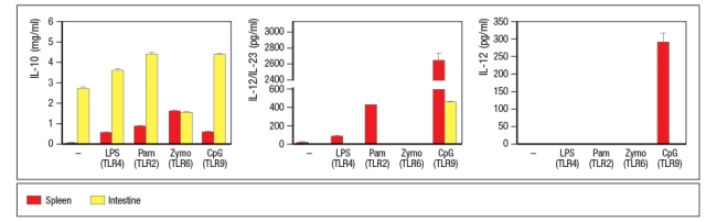 Macrophages were isolated from the spleen or the intestinal lamina propria, and stimulated in vitro with the indicated TLR ligands. Twenty-four hours later, the culture supernatants were tested for the amounts of IL-10, the IL-12p40 subunit (shared between IL-12 and IL-23) , and for IL-12, and the results are shown in Figure .     These data indicate that the lamina propria macrophages: A)  Make robust responses to a variety of MAMPs B)  Function as anti-inflammatory cells C)  Are unable to respond to TLR stimulation D)  Are less efficient at cytokine production than splenic macrophages E)  Function to promote epithelial cell repair in case of disruptions in the intestinal barrier