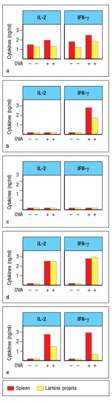  In a second experiment, the isolated splenic and lamina propria macrophages were treated with LPS and then incubated with the protein antigen, chicken ovalbumin. CD4 T cells specific for a peptide of ovalbumin (OVA) bound to MHC class II were then incubated with each population of macrophages, and three days later, the culture supernatants were analyzed for IL-2 and IFN- \gamma  production. Which of the graphs in Figure most likely represents the results of this experiment?    