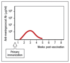MPSV-4 is a tetravalent polysaccharide vaccine designed to elicit antibodies to four different serotypes of Neisseria meningitidis, a bacterial infection that causes meningitis and sepsis in susceptible individuals. However, the protection induced by this vaccine is short-lived, and normally wanes to undetectable levels by 2-3 years post-vaccination. In addition, MPSV-4 does not induce mucosal immunity to Neisseria meningitidis; instead, it only protects against bacteria that access the bloodstream. Two newly developed vaccine candidates (A and B) are tested in mice for their ability to elicit high concentrations of anti-meningococcal antibodies that would provide mucosal as well as bloodstream protection. Also, the ideal candidate vaccine should also provide long-lasting immunity to the infection. Figure Q29)A is a diagram of the results from the primary immunization with both candidate vaccines:      a) what is the predominant antibody isotype elicited by the primary immunization with these candidate vaccines? In which part of the body is that antibody primarily found? Figure shows the responses to a primary, followed by a secondary immunization to each of the two candidate vaccines.       b) Which candidate vaccine elicits the preferred response? What are the three aspects of the preferred response that make it the candidate vaccine of choice? The vaccine developers refuse to divulge the components of the candidate vaccines A and B. c) What is the likely composition of each vaccine and what evidence from the information above are used to lead to your conclusions? d) To confirm the choice of the preferred candidate vaccine, what type of additional information from the vaccine trials in mice shown above would support this conclusion? Name two additional features of the secondary antibody response to each candidate vaccine that could be assessed, and what results would be expected for each of the candidate vaccines. e) To assess whether either candidate vaccine might provide mucosal immunity in addition to immunity in the bloodstream, what feature of the response to each vaccine should be examined?