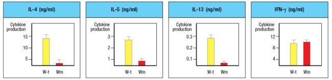  A mouse line (called 'Wm') is discovered that has an unexpected immunodeficiency. Genetic studies indicate that the immunodeficiency is due to a single gene defect. The Wm mice have normal numbers of all immune cell lineages, including T cell, B cells, macrophages, dendritic cells, NK cells, and granulocytes. When infected with viruses or intracellular bacteria and protozoa, the Wm mice mount normal protective T cell responses and clear the infections. However, given a helminthic parasite infection, the Wm mice cannot clear the infection and succumb to the disease. A set of wild-type (WT) and Wm mice were infected with the helminthic parasite, Nippostrongylus brasiliensis, and cytokine production by the CD4 T cells was analyzed. For this experiment, CD4 T cells were isolated from mice at day 8 post-infection, stimulated in vitro for 24 hr stimulation with anti-CD3 antibody to elicit cytokine secretion, and then cytokine levels in the culture supernatants were examined by ELISA. The results are shown in Figure.      a) What process is likely defective in the Wm mice? b) Which molecules are the best candidates for the defective gene in Wm mice? Note that the transcription factor GATA-3 is not a likely candidate gene, as GATA-3-deficient mice have an early block in T cell development in the thymus, and completely lack all T cells.and Wm mice and were stimulated in vitro with anti-CD3 plus anti-CD28 antibodies, in the presence of additional cytokines and blocking antibodies as indicated. After three days of stimulation, the T cells are isolated, washed, and restimulated with anti-CD3 antibody in medium lacking any cytokines or antibodies. After 24 hr, the cytokines present in the supernatants of these restimulated CD4 T cells are examined by ELISA. These data are show in Figure.     c) Do these results change your answers to parts (a) or (b) above? To continue to identify the molecule or pathway defective in Wm T cells, CD4 T cells are isolated from Wm mice and stimulated in vitro with anti-CD3 + anti-CD28 antibodies in the presence of IL-4 and anti-IFN- \gamma  antibody, as above. One day later, the cells are transduced with a vector expressing the transcription factor GATA3. From this vector, GATA3 will be expressed constitutively and at high levels, in all of the T cells. As a control, an 'empty' vector (not containing GATA-3) is also transduced into Wm CD4 T cells. Three days later, the cells are washed and restimulated for cytokine secretion analysis by ELISA, as above. Additionally, flow cytometry analysis of naive wild-type and Wm CD4 T cells stained with an antibody to the IL-4 receptor was performed, and the results are shown.and Wm CD4 T cells was then performed to examine the expression of the four Jak-family tyrosine kinases required for downstream signaling induced by the cytokine receptors expressed on T cells. The results from these experiments are shown in Figure.     d) With the new information provided by the data shown above, name the most likely candidate molecule for the defect in Wm T cells, and explain your reasoning. 