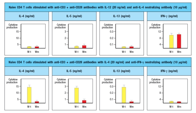  A mouse line (called 'Wm') is discovered that has an unexpected immunodeficiency. Genetic studies indicate that the immunodeficiency is due to a single gene defect. The Wm mice have normal numbers of all immune cell lineages, including T cell, B cells, macrophages, dendritic cells, NK cells, and granulocytes. When infected with viruses or intracellular bacteria and protozoa, the Wm mice mount normal protective T cell responses and clear the infections. However, given a helminthic parasite infection, the Wm mice cannot clear the infection and succumb to the disease. A set of wild-type (WT) and Wm mice were infected with the helminthic parasite, Nippostrongylus brasiliensis, and cytokine production by the CD4 T cells was analyzed. For this experiment, CD4 T cells were isolated from mice at day 8 post-infection, stimulated in vitro for 24 hr stimulation with anti-CD3 antibody to elicit cytokine secretion, and then cytokine levels in the culture supernatants were examined by ELISA. The results are shown in Figure.      a) What process is likely defective in the Wm mice? b) Which molecules are the best candidates for the defective gene in Wm mice? Note that the transcription factor GATA-3 is not a likely candidate gene, as GATA-3-deficient mice have an early block in T cell development in the thymus, and completely lack all T cells.and Wm mice and were stimulated in vitro with anti-CD3 plus anti-CD28 antibodies, in the presence of additional cytokines and blocking antibodies as indicated. After three days of stimulation, the T cells are isolated, washed, and restimulated with anti-CD3 antibody in medium lacking any cytokines or antibodies. After 24 hr, the cytokines present in the supernatants of these restimulated CD4 T cells are examined by ELISA. These data are show in Figure.     c) Do these results change your answers to parts (a) or (b) above? To continue to identify the molecule or pathway defective in Wm T cells, CD4 T cells are isolated from Wm mice and stimulated in vitro with anti-CD3 + anti-CD28 antibodies in the presence of IL-4 and anti-IFN- \gamma  antibody, as above. One day later, the cells are transduced with a vector expressing the transcription factor GATA3. From this vector, GATA3 will be expressed constitutively and at high levels, in all of the T cells. As a control, an 'empty' vector (not containing GATA-3) is also transduced into Wm CD4 T cells. Three days later, the cells are washed and restimulated for cytokine secretion analysis by ELISA, as above. Additionally, flow cytometry analysis of naive wild-type and Wm CD4 T cells stained with an antibody to the IL-4 receptor was performed, and the results are shown.and Wm CD4 T cells was then performed to examine the expression of the four Jak-family tyrosine kinases required for downstream signaling induced by the cytokine receptors expressed on T cells. The results from these experiments are shown in Figure.     d) With the new information provided by the data shown above, name the most likely candidate molecule for the defect in Wm T cells, and explain your reasoning. 