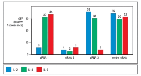 To identify genes encoding the receptors for the cytokines IL-2, IL-4, and IL-7, an siRNA screen is performed using purified T lymphocytes. To identify siRNAs that knock-down cytokine receptor expression, the T cells have been transfected with a construct that produces green fluorescent protein (GFP)  when any one of these three cytokines is used to stimulate the cells. When the screen is completed, several different siRNAs have been identified that substantially reduce the T cells ability to respond to these cytokines as shown in Figure .     A correct statement regarding these data is: A)  siRNA-1 and siRNA-3 target subunits of the IL-2 receptor but siRNA-2 does not. B)  siRNA-2 targets a shared subunit of all three receptors, whereas siRNA-1 and siRNA-3 do not. C)  siRNA-3 targets a subunit of the IL-7 receptor, but the other two siRNAs do not. D)  siRNA-2 and siRNA-3 do not target a subunit of the IL-2 receptor. E)  siRNA-2 targets a subunit shared by all receptors in the hematopoietin receptor superfamily.