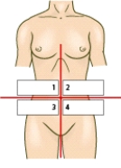 Which area of the abdomen shown in the accompanying figure will the nurse palpate to assess for splenomegaly?   A) 1 B) 2 C) 3 D) 4
