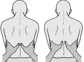 When performing an assessment of the patient's respiratory system,the nurse uses the following illustrated technique to evaluate which of the following respiratory functions?   A)  Chest expansion B)  Tactile fremitus C)  Accessory muscle use D)  Diaphragmatic excursion