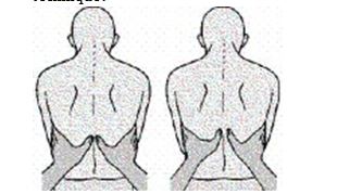 The nurse is performing an assessment of the client's respiratory system. Which of the following parameters is the nurse assessing when using the following illustrated technique?   A) Bronchophony B) Chest expansion C) Accessory muscle use D) Diaphragmatic excursion