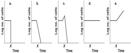 Figure 7.2 Assume 109 E. coli cells/ml are in a flask.    -Which graph in Figure 7.2 best depicts the effect of placing the culture in an autoclave for 15 minutes at time x? A)  a B)  b C)  c D)  d E)  e