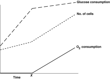 Figure 5.6   The rates of o<sub>2</sub> and glucose consumption by a bacterial culture are shown in Figure 5.6. Assume a bacterial culture was grown in a glucose medium without o<sub>2</sub>. Then o<sub>2</sub> was added at the time marked X. The data indicate that A)  these bacteria cannot grow anaerobically. B)  these bacteria get more energy anaerobically. C)  aerobic metabolism is more efficient than fermentation. D)  these bacteria donʹt use o<sub>2</sub>.