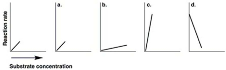 Figure 5.7   The graph at the left in Figure 5.7 shows the reaction rate for an enzyme at its optimum temperature. Which graph shows enzyme activity at a higher temperature? A)  a B)  b C)  c D)  d