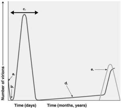 Figure 13.2    -Assume a patient has influenza. During which time on the graph in Figure 13.2 would the patient show the symptoms of the illness? A)  a B)  b C)  c D)  d E)  e