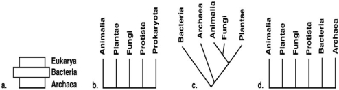 Figure 10.5    Choose one of the phylogenetic schemes in Figure 10.5 and explain why you feel it is preferable to the others.
