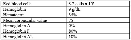 The complete blood count with differential of a client who complains of weakness shows the following.   Which red blood cell disorder has the client developed? A)  Alpha thalassemia B)  Sickle cell anemia C)  Beta thalassemia D)  None of the above 