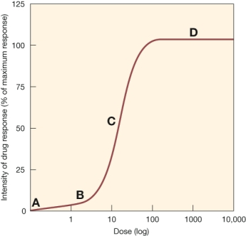 Mark the location of the beginning of the plateau phase on this dose-response relationship curve.   A)  A B)  B C)  C D)  D