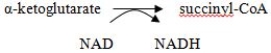 Vitamins - One-sentence Descriptions: For each vitamin listed below,indicate: (1)the active form of the vitamin, (2)the general function of the vitamin,and (3)an example of the general function (this could be a specific reaction or simply indicate a pathway/ process where it occurs).An example is provided; as you can see,your answers do not need to be long!??Vitamins: Biotin,pantothenate,riboflavin,vitamin B₆,thiamin,vitamin C,folate Example: Niacin (1)NAD(H)or NADP(H) (2)Oxidation-reduction reactions (3)TCA cycle reaction or…  <div style=padding-top: 35px> 