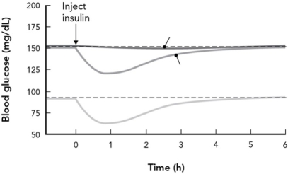 If the bottom curve in this experiment represents the results from a normal human, the top curve represent the results from a human with what disease?   